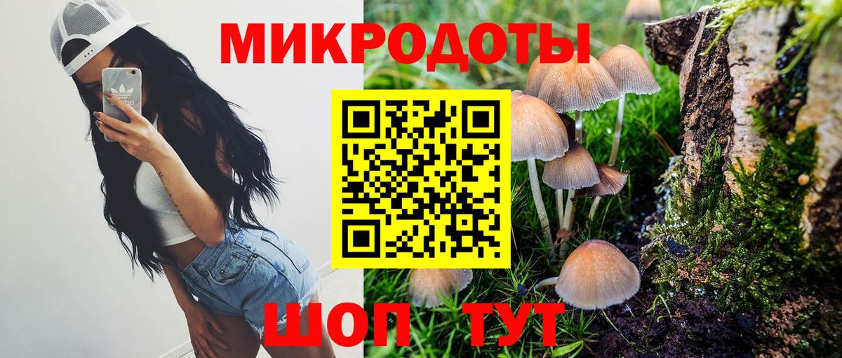 Боровичи  Псилоцибиновые грибы MAGIC MUSHROOMS  Вход с VPN 