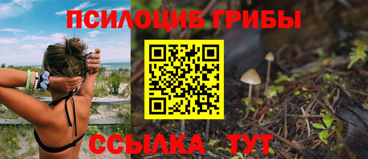 Псилоцибиновые грибы GOLDEN TEACHER Боровичи